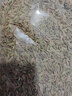 珈祁堂 小茴香中藥材小茴香籽子調料鹵料 小茴香100克【新貨】 曬單實拍圖