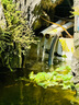 森森變頻魚(yú)池抽水泵循環(huán)過(guò)濾泵假山大流量高揚程潛水泵錦鯉魚(yú)池泵 CTF 8000B（70瓦）每小時(shí)8000流量 曬單實(shí)拍圖