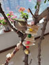 寵易生（ChongYiSheng）墨魚(yú)骨鸚鵡啃咬磨牙零食虎皮牧丹鳥(niǎo)類(lèi)玩具磨嘴補鈣鳥(niǎo)籠專(zhuān)用品配件 風(fēng)鈴墨魚(yú)骨啃咬串4大粒 曬單實(shí)拍圖