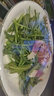 世果達云南特產(chǎn)海菜花新鮮食用大理洱海水性楊花野菜瀘沽湖麗江特色蔬菜 2斤裝 曬單實(shí)拍圖