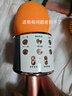 多寶萊 無(wú)線麥克風(fēng)藍(lán)牙電容話筒音響家用全套唱歌手機(jī)一體直播設(shè)備全民K歌神器兒童主播通用 【2件裝】標(biāo)準(zhǔn)版金色+粉色 曬單實(shí)拍圖