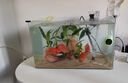 LZJV免洗魚缸底砂天然水洗海沙造景水草水族箱沙寄居蟹烏龜沙子流沙 5斤裝細(xì)海沙1-3mm 30-40缸推薦用量 曬單實拍圖