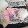 MIKI PAD狗狗衣服小型犬秋冬款貓衣服四腳衣背帶褲可牽引小狗衣服泰迪比熊 粉色大眼仔 L背長(cháng)34cm（參考體重8-11斤） 曬單實(shí)拍圖