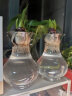 花无痕 风信子水培花瓶 玻璃花瓶 玻璃花盆 透明玻璃绿萝花瓶 富贵竹水养植物容器花盆 风信子塑料瓶 实拍图