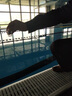 PoolMate英國百靈達Palintest游泳池水質(zhì)檢測儀衛藍泳池檢測工程師套件 AP011-余氯試劑DPD1（250次） 曬單實(shí)拍圖