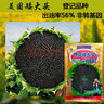 納格蘭美國矮大頭油葵種子 高榨油量非轉基因葵花籽種子 油用向日葵種子  矮大頭原裝200克 曬單實(shí)拍圖