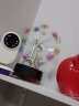 禾娘 创意摆件永动机仪牛顿摆球撞球创意磁悬浮物理办公桌面家居装饰品 彩色大风车永动仪大号 实拍图