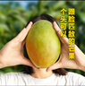 東方甄選凱特芒4.5斤裝酸甜多汁飽滿 壞果包賠 【4.5斤中果】約3-5個單果500-700g 產(chǎn)季前期口感酸甜，催熟食用更佳 曬單實拍圖
