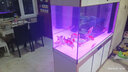 漢霸魚(yú)缸客廳2026新款家用客廳落地底濾一體超白玻璃大型金魚(yú)缸水族箱 金+白 屏風(fēng)150x52x160cm 曬單實(shí)拍圖