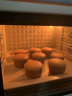 柏翠（petrus） 电烤箱家用38升大容量全自动独立控温多功能烘焙智能烧烤发酵果干机 小家电 5400YE 礼物 简米白 38L 实拍图