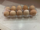 耀繽雞蛋盒塑料透明雞蛋托中號多種規格一次性土雞蛋包裝盒鴨蛋鵪鶉全 10枚雞蛋托100個(gè) 曬單實(shí)拍圖