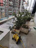 雨虹防水防水卷材SBS高分子屋頂防水材料 自粘聚合物改性瀝青免火烤耐高溫 15㎡1.5mm自粘型超國標1*15米 曬單實(shí)拍圖