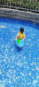 INTEX儿童救生衣浮力背心宝宝充气救生衣游泳装备泳圈水上浮衣59661 实拍图