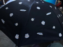 天堂傘超輕超細鉛筆傘晴雨兩用傘防曬防紫外線(xiàn)黑膠遮陽(yáng)傘太陽(yáng)傘女三折疊 鉛筆傘樂(lè )福小兔【藏青】 曬單實(shí)拍圖