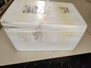 貓撲魚(yú)（mao pu yu）微山湖生態(tài)鯽魚(yú)(凈膛) 淡水魚(yú)現捕現殺 生鮮 老人孕產(chǎn)婦燉湯 三斤中號鯽魚(yú)（每斤4-6條） 曬單實(shí)拍圖
