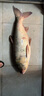 猛攻突擊鰱大物線組綁好魚線主線pe加固強(qiáng)拉力鰱鳙草線組套裝6.3米6.0 曬單實(shí)拍圖