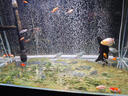 瘋狂水草魚(yú)缸增氧泵氣泡條魚(yú)缸氧氣條打氧機氣泡石納米氣盤(pán)造景裝飾氧氣泵 【瀑布增氧套餐】氣泡條35CM+PF氣泵 曬單實(shí)拍圖