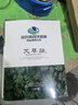 云南本草海目艾草貼肚子草本油貼濕清艾灸貼纖姿肚臍貼官方正品 50g 5盒 【多配 實發(fā)10盒】 曬單實拍圖