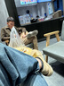 真維斯（JEANSWEST）衛(wèi)衣男女款2025重磅外套寬松加大碼休閑風(fēng)衛(wèi)衣青少年情侶學(xué)生上衣 黑色（橘帽英文） L (推薦體重100斤-115斤左右) 曬單實(shí)拍圖
