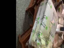 草魚(yú)小魚(yú)10厘米淡水活體魚(yú)半斤一斤特大養殖20cm公分草魚(yú) 【草魚(yú)】8-11厘米30條 曬單實(shí)拍圖