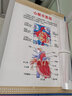 血管系統示意圖解剖圖宣傳畫(huà)海報掛圖標語(yǔ)醫院文化宣傳欄展板墻貼紙WSE43 WSE43-01  呼吸系統示意圖 100*70厘米/張 PP貼紙 曬單實(shí)拍圖