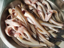 狼王魚線輪紡車輪漁輪海釣輪釣魚輪斯嘉蒂全金屬斜口線杯遠(yuǎn)投防海水輪 4000型 曬單實(shí)拍圖