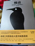 【當當正版書籍】精進：如何成為一個很厲害的人（全新修訂精裝版）浙江大學心理學博士采銅 曬單實拍圖