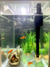 淘歌（TG） 鱼缸水族箱免换水桌面懒人鱼缸金鱼缸客厅生态鱼缸小型玻璃鱼缸 白色T40（40.6*26.6*43.5cm） 实拍图