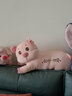 惠妮寶貝毛絨玩具豬豬玩偶粉色小豬公仔長(cháng)條睡覺(jué)抱枕生肖豬娃娃七夕禮物 幸福豬 65厘米 曬單實(shí)拍圖