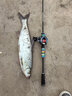 SHIMANO 22款阿德bfs禧瑪諾微物水滴輪馬口溪流白條黑坑鱸魚(yú)漁輪 22款A(yù)LDEBARAN BFS HG/7.8速比 左手型 曬單實(shí)拍圖