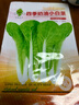 花語笙默四季奶油小白菜農家庭院陽臺露天綠色速生四季盆栽蔬菜種 小白菜種子【1包 約1千?！?曬單實拍圖