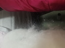 花睡神蠶絲冬被定做桐鄉(xiāng)蠶絲被雙宮手工桑蠶絲棉兜裸胎裸絲機(jī)制桑蠶絲原 普通蠶絲 150x200絲胎 內(nèi)套另拍 曬單實(shí)拍圖
