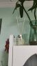 名创优品（MINISO）北欧风系列无火香薰室内厕所空气清新剂生日礼物柠檬香草50ml 实拍图