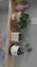 千花原木層板一字隔板 墻上實(shí)木置物架 擱架壁掛 不規(guī)則邊擱板隔板 波浪邊*白楊木*原木色 100CM*20CM*厚3CM 曬單實(shí)拍圖