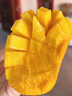 柏饞新鮮云南小臺芒應季當季熱帶時(shí)令水果小臺農芒果整箱南方特產(chǎn) 9斤精品裝 曬單實(shí)拍圖