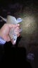 丸九底窩料酒味腥味蒜味野釣水庫鯉魚(yú)草魚(yú)青魚(yú)爆炸鉤遠投打窩子料 底窩料【酒】2KG 曬單實(shí)拍圖