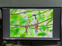 AOC 27英寸 100Hz超頻120Hz IPS HDRMode HDMI 低藍(lán)光不閃 三邊微邊 超薄節(jié)能辦公電腦顯示器 27B35H 曬單實(shí)拍圖
