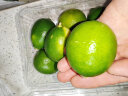 京鲜生 塔西提无籽柠檬 青柠檬  500g装 单果40-60g 新鲜水果 实拍图