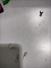 漁公公不倒翁鉛墜自動翻轉(zhuǎn)釣魚鉤配鉛子線夾鉛小配件跑鉛朝天鉛頭防掛底 ［0.6克］適合0.4-1.5號線 共10枚 體驗(yàn)裝 曬單實(shí)拍圖