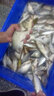 川澤三角尾浮漂扁尾加粗醒目日用魚(yú)漂近視遠投野釣防爆頂鰱鳙浮漂 06-2號三角尾 鉛4.4g青草鰱鳙 兩支裝 曬單實(shí)拍圖