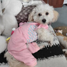 MIKI PAD狗狗衣服小型犬秋冬款貓衣服四腳衣背帶褲可牽引小狗衣服泰迪比熊 粉色大眼仔 L背長(cháng)34cm（參考體重8-11斤） 曬單實(shí)拍圖