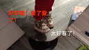 天美意鞋子女鞋百搭小白鞋女鞋子瘋狂動(dòng)物城聯(lián)名萌耳朵面包鞋女休閑鞋 尼克棕 36 曬單實(shí)拍圖