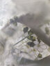 歌米茜時(shí)尚氣質(zhì)中年婦女連衣裙夏季新款衣服女裝媽媽40-50歲女人穿裙子 圖片色 3XL 曬單實(shí)拍圖