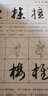 【包郵】書(shū)法入門(mén)隸書(shū)入門(mén)基礎教程 草書(shū)一點(diǎn)通 曬單實(shí)拍圖