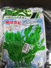 壽禾 四川豌豆尖種子豌豆苗蔬菜青菜菜種籽四季秋冬季播種 （采收期長）嫩綠貴妃種子500g 曬單實拍圖