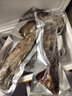 榕毅鮮生魷魚(yú)鮮活新鮮特大魷魚(yú)整只冷凍鐵板燒烤海鮮冷凍商用海鮮水產(chǎn)批發(fā) 整條魷魚(yú) 5斤(凈重) 曬單實(shí)拍圖