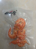 【有機(jī)蝦仁干】金鉤海米 渤海水產(chǎn)鹽田蝦類俏蝦客官旗艦生鮮干貨 有機(jī)金鉤海米【100g*1盒】 曬單實(shí)拍圖