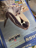 【全年珍藏共12期10本】百科探秘·海底世界 雜志期刊中小學(xué)生青春勵志兒童文學(xué)百科閱讀科普雜志適合7-12歲1-9年級 曬單實(shí)拍圖