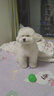 康貝尼狗玩具球耐咬實(shí)心橡膠球金毛馬犬德牧中大型犬訓(xùn)練彈力球?qū)櫸镉闷?紅色 特小號(hào)/直徑4.5cm 曬單實(shí)拍圖