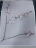 autocad軟件遠(yuǎn)程安裝正式中文版2007-2026安裝包天正建筑結(jié)構(gòu)電氣暖通給排水CAD軟件安裝 CAD+天正插件（單個(gè)） 曬單實(shí)拍圖